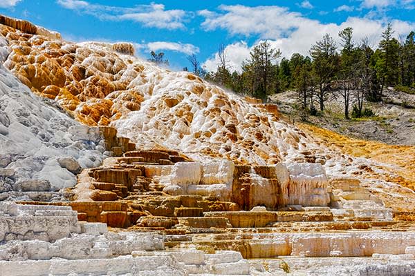 Mammoth Hot Springs, Yellowstone National Park