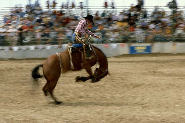 Cody Wyoming Nite Rodeo