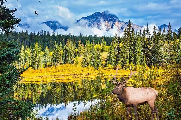 Jasper National Park