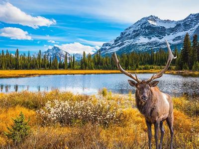 Jasper National Park