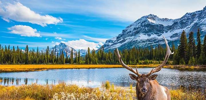 Jasper National Park