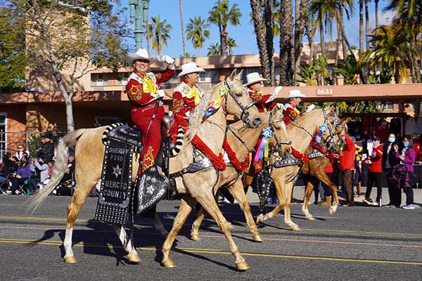 Rose Parade & Los Angeles Tour