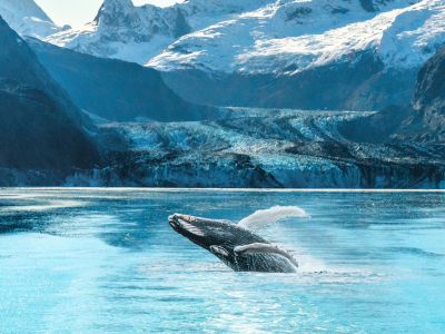 Alaska Cruise & Canadian Rockies