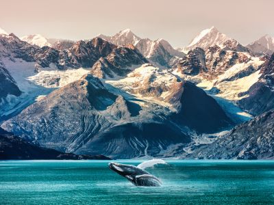 Grand Alaskan Cruise & Tour