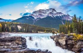 Canadian Rockies Tour