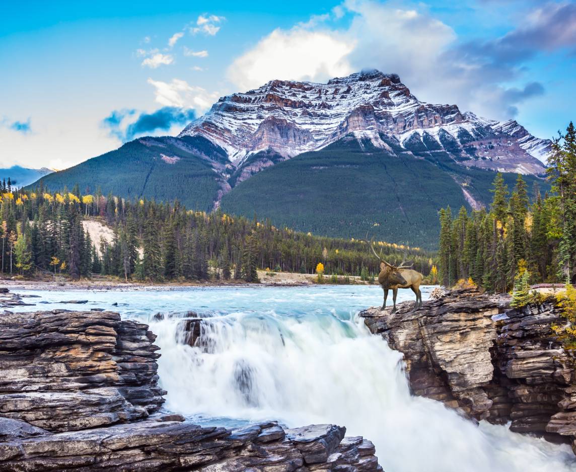 Canadian Rockies Tour