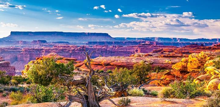 The Grand Vacation: Tips for Visiting the Grand Canyon