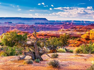 Tips For Exploring Canyonlands National Park