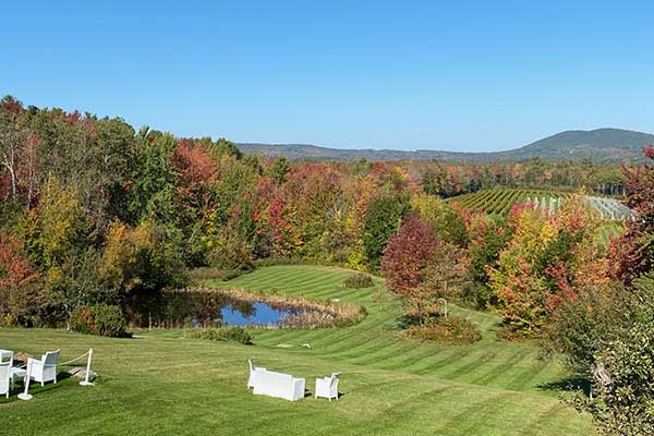 Cellardoor Winery