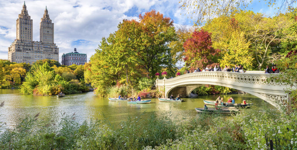 New York Central Park