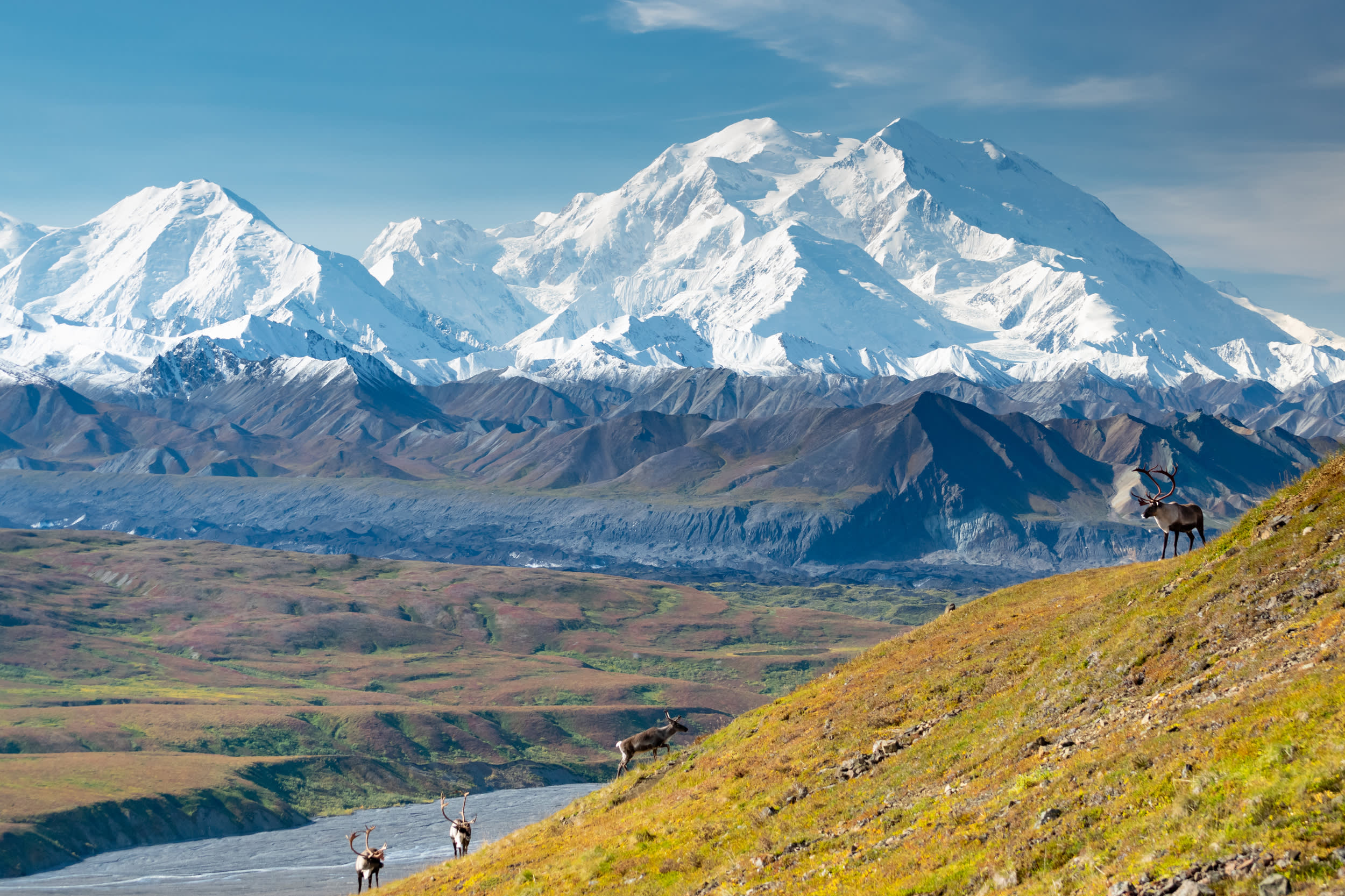 Denali National Park