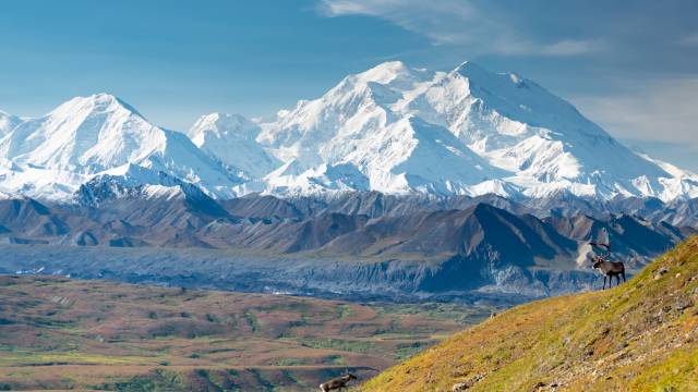 Denali National Park