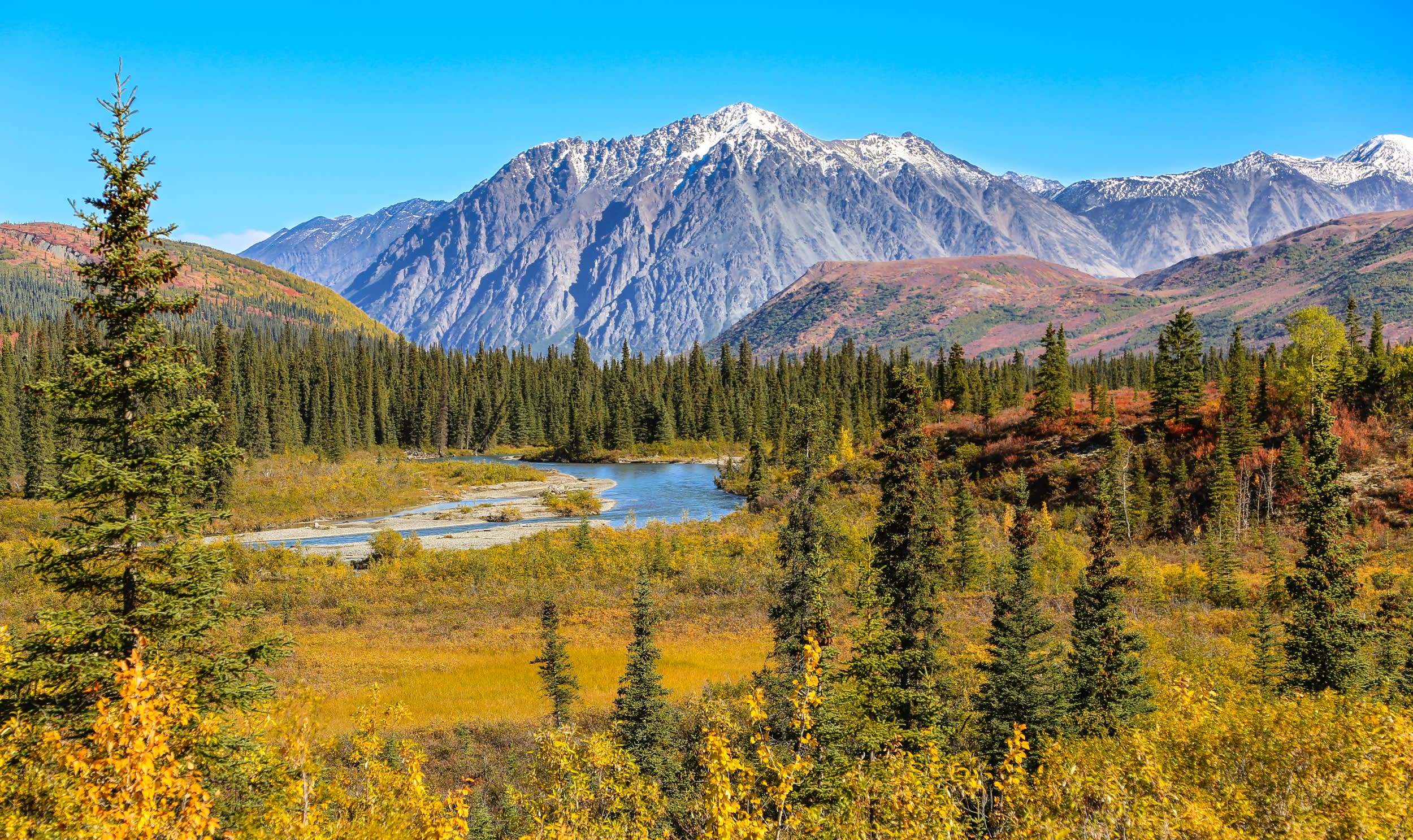 Denali-National-Park