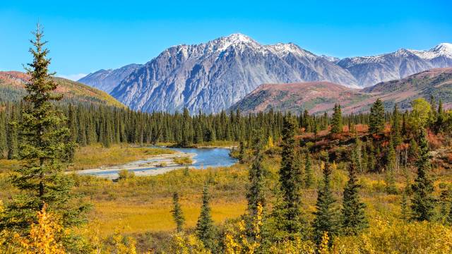 Denali-National-Park