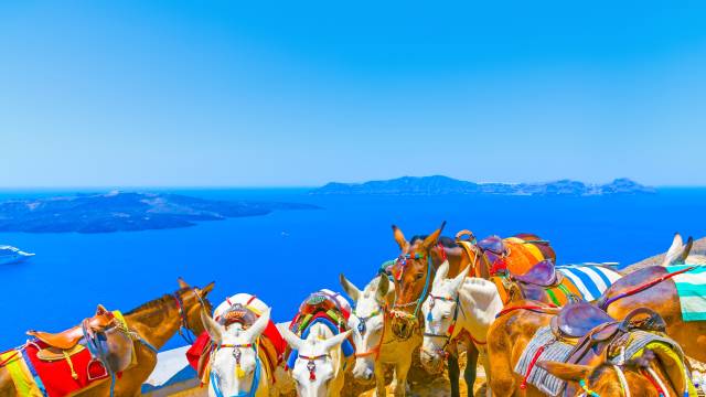 Ultimate Greece & Italy