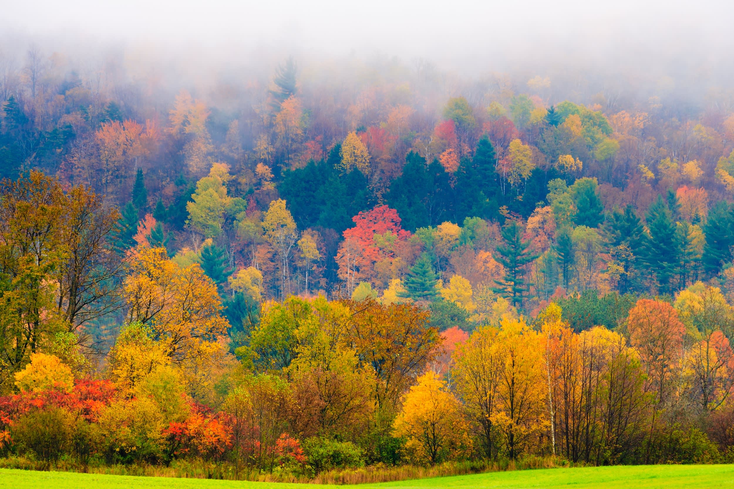 Green Mountains