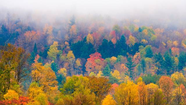 Green Mountains