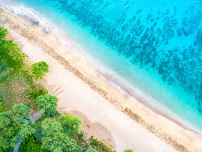 Maui Beach aerial drone of tropical beach