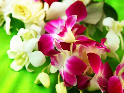 Traditions of the Hawaiian Lei and Its Meanings