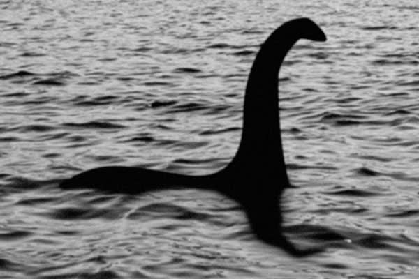 Lochness Monster