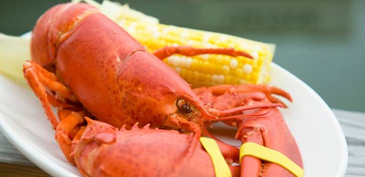 Your New England Travels: 8 Easy Steps for Eating Lobster