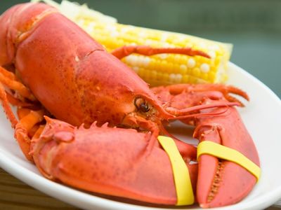 Your New England Travels: 8 Easy Steps for Eating Lobster