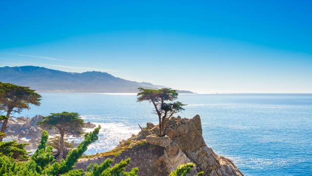 The Lone Cypress, seen from the 17 Mile Drive, in Pebble Beach, California