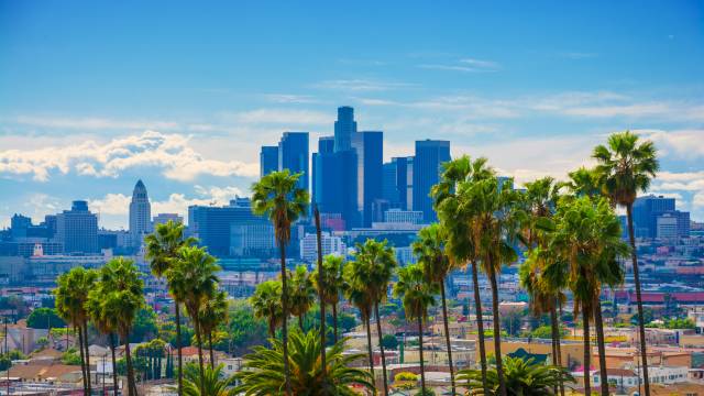 Los Angeles Skyline Backlit Aerial with Vivid Green Palm Trees