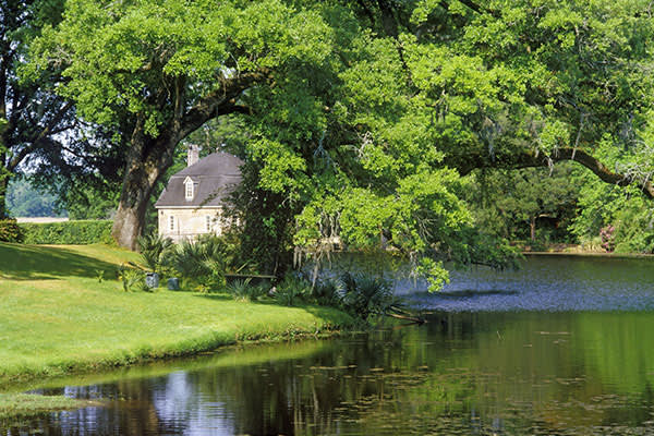 Middleton-Place-Plantation-Charleston-South-Carolina-Historic-South-Tour