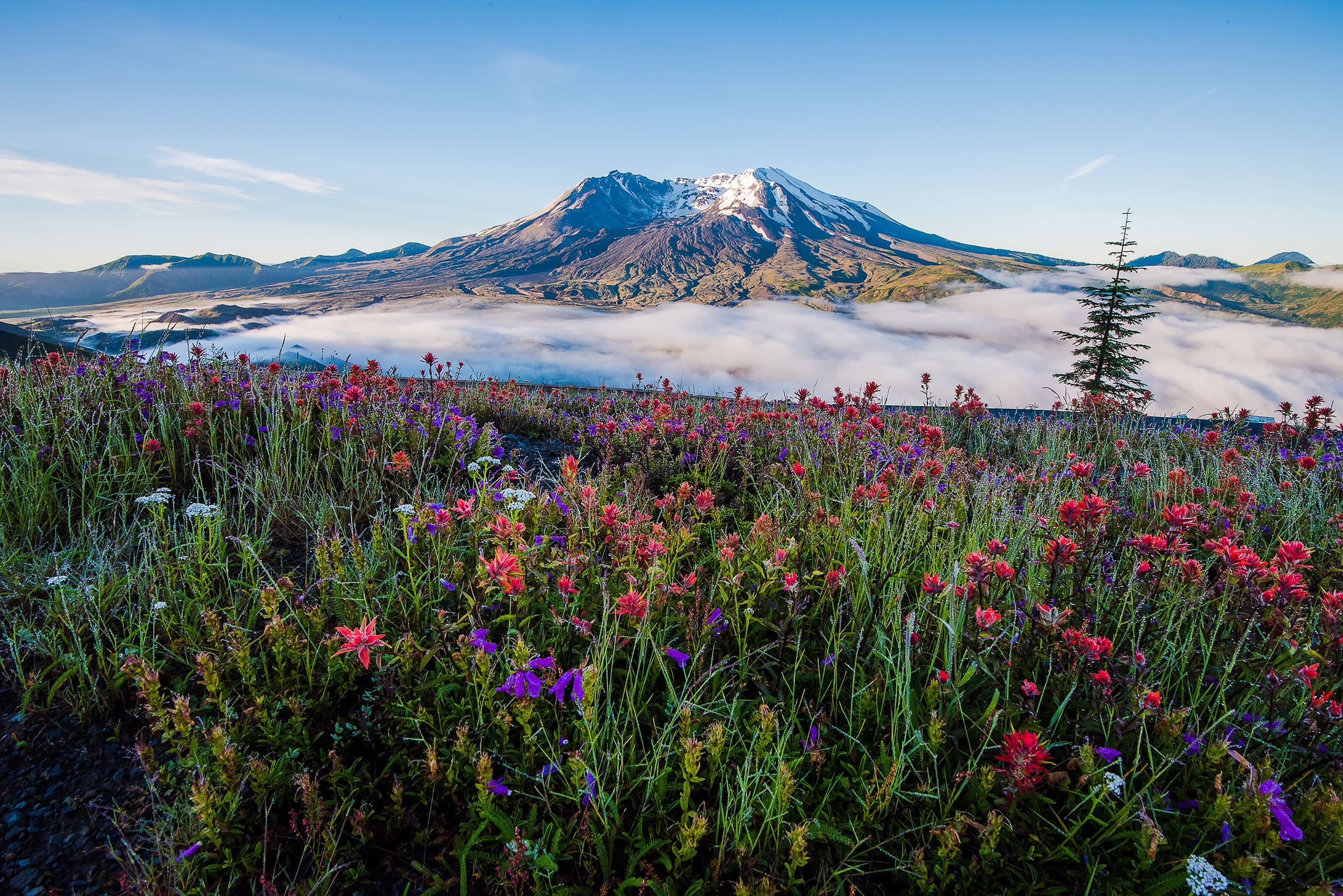 Mt St Helens