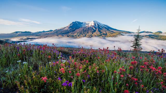 Mt St Helens