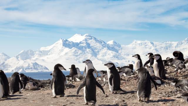 Polar Horizons: South America and Antarctica Cruise