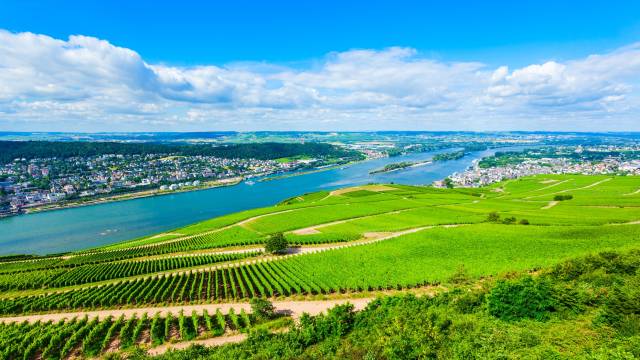 Rhine-River-Vacation-YMT