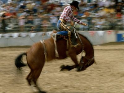 The Daddy of ‘em All: Cheyenne, Wyoming’s Frontier Days