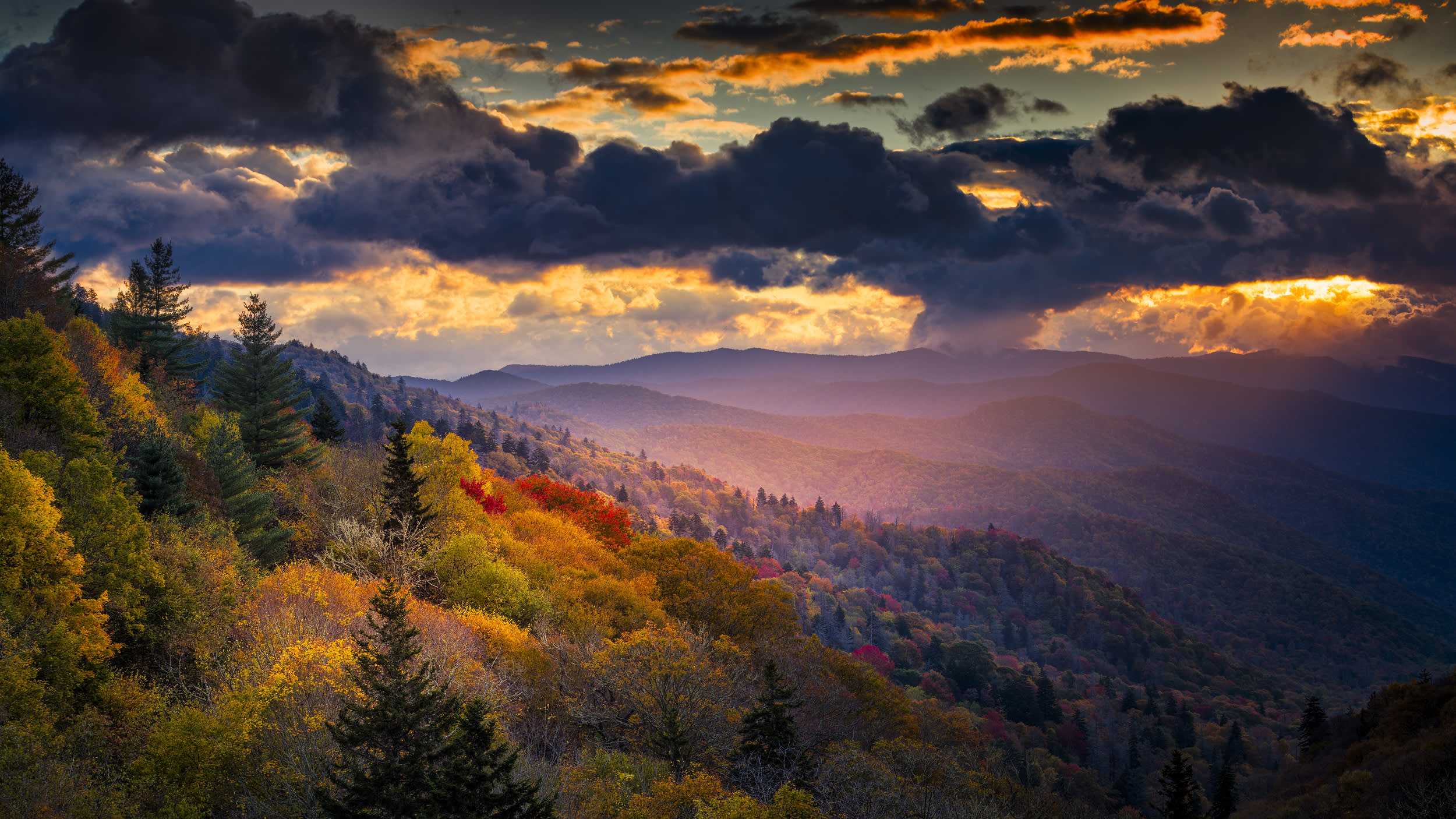 Most Visited National Parks in the US