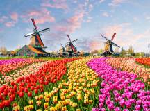 Netherlands