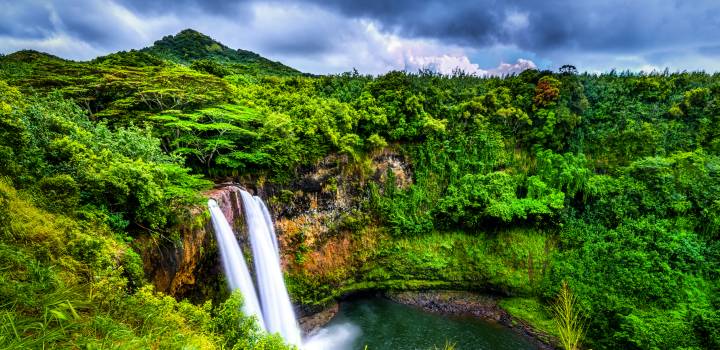 Christmas in Hawaii: Holiday Traditions in the Sun