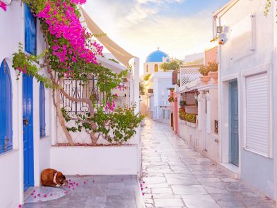 Narrow scenic street of Oia Village on Santorini Island at sunset, Greece