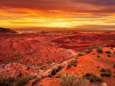 The Painted Desert: 5 Things to Do in this Arizona Treasure