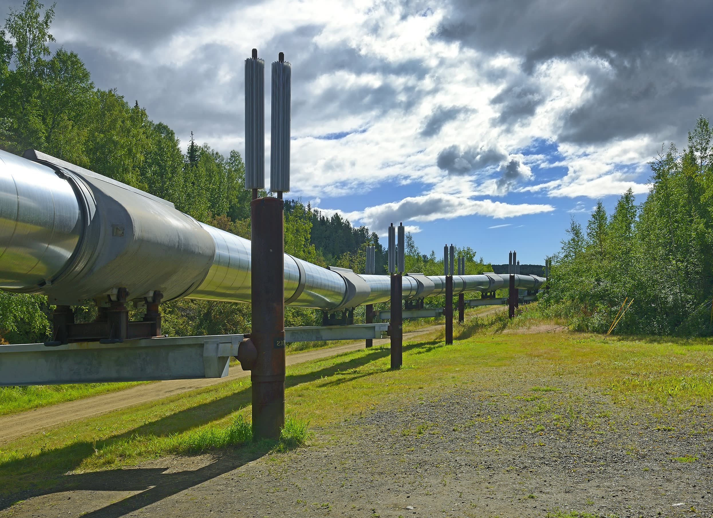 Trans-Alaska Pipeline in Fairbanks