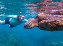 Woman snorkeler