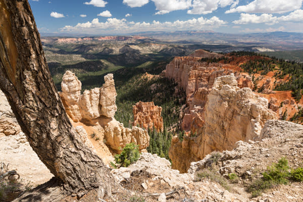 ymt-blog-bryce-canyon-rainbow-point