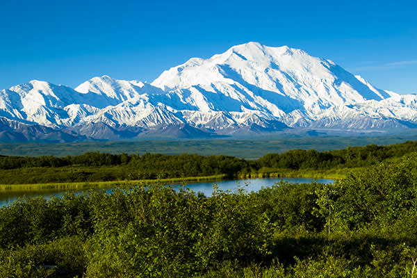 ymt-blog-national-parks-with-the-best-wildlife-viewing-denali-national-park