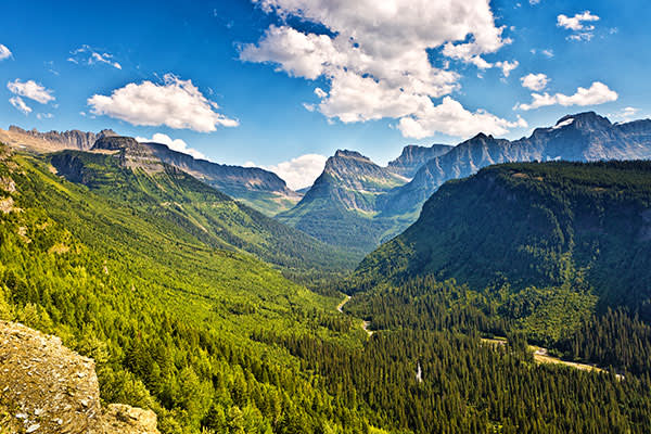 ymt-blog-national-parks-with-the-best-wildlife-viewing-glacier-national-park