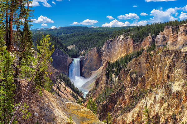 Lower Falls, Yellowstone National Park