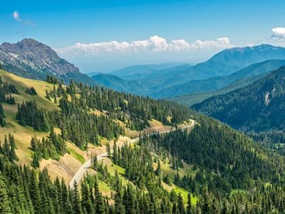 What Is The Best Season To Visit Olympic National Park