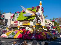 rose-parade