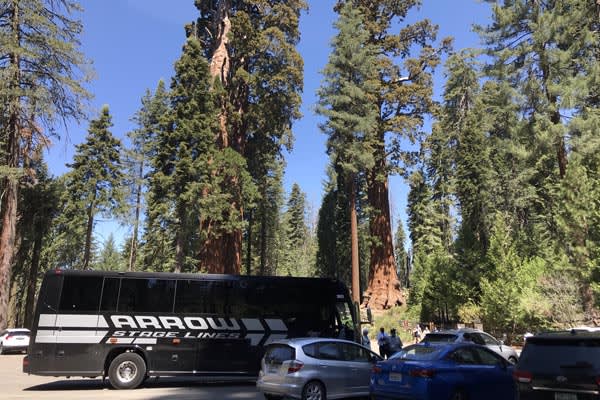 YMT Tour Bus at Sequoia National Park Golden California Tour 