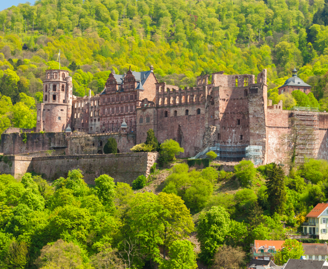 Rhine River Cruise in Tulip Season