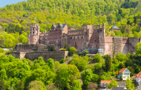 Rhine River Cruise in Tulip Season